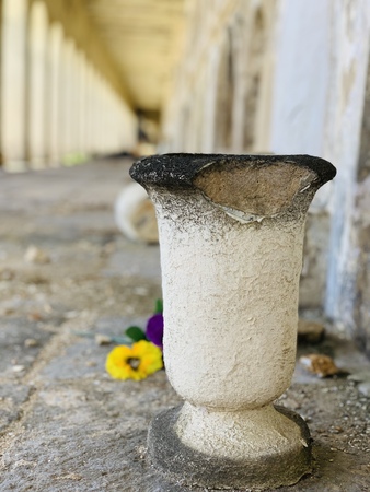 broken clay vase in dying flowers in abandoned buildingの写真素材
