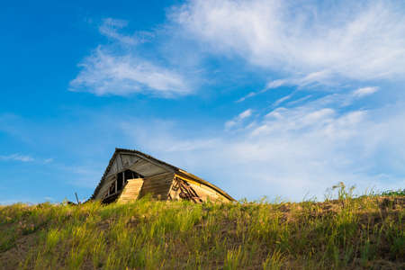 Dilapidated wood barn seen from the rural wheat fieldsの写真素材