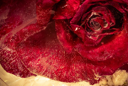 Flower frozen in ice with textureの写真素材