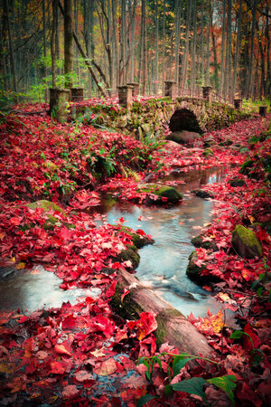 River, footbridge, rocks and colorful fall foliage landscape, Smoky Mountains Tennesseeの写真素材