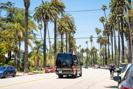 Beverly Hills, CA - June 29, 2024:  Street scene along  Beverly Hills California with palm trees.のeditorial素材