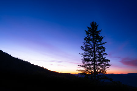 Silhouette of tree against colorful sunset sunrise sky with blue ridge mountains in the background