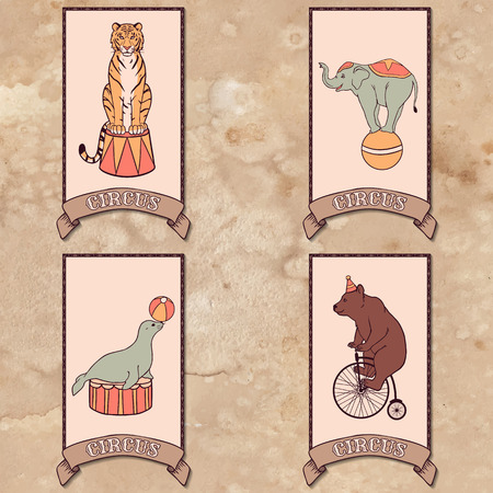 Set of circus animals  tiger, elephant, seal, bearのイラスト素材