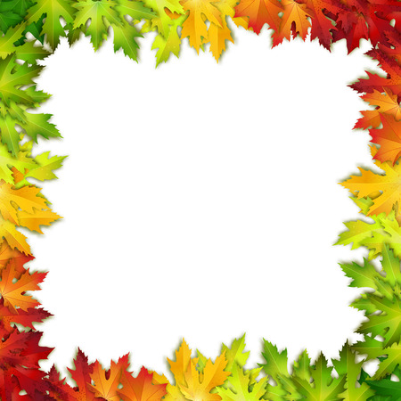 Vector background decorated with colorful autumn leaves, card, bannerのイラスト素材