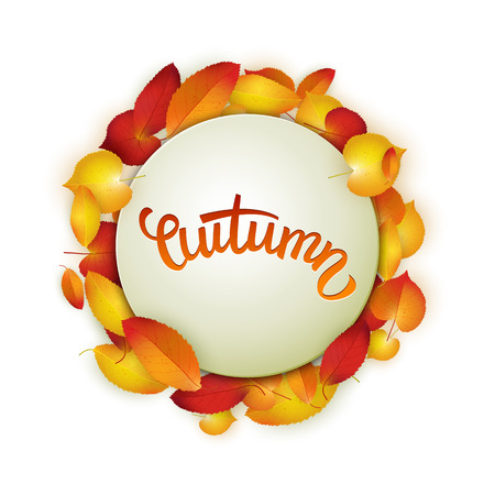 Autumn card, colorful leaves and handwritten lettering, background, template, vector illustrationのイラスト素材