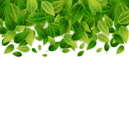 Green realistic leaves backgroundのイラスト素材