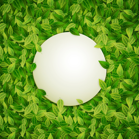 Round banner on green leaves background, illustrationのイラスト素材