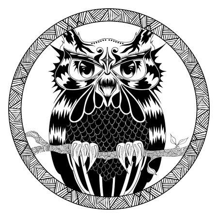 Graphic illustration of owl in decorative ornamental ethnic frame, vectorのイラスト素材