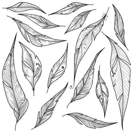 Set of decorative hand drawn ethnic feathers. Vector illustrationのイラスト素材