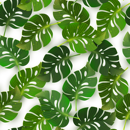 Seamless pattern with jungle tropical monstera leaves, vector illustration. Texture for wallpapers, textile design, web page backgrounds.のイラスト素材