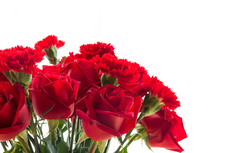 red carnations and roses isolated on white backgroundの写真素材