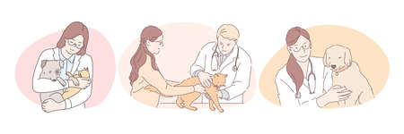 Young confident doctors veterinarians in white uniform examining and curing dogs and cats in medical clinic officesのイラスト素材