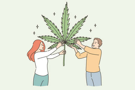 Growing marijuana herbal medicine concept. Two young smiling people cartoon characters standing holding huge marijuana leaf in hands vector illustrationのイラスト素材
