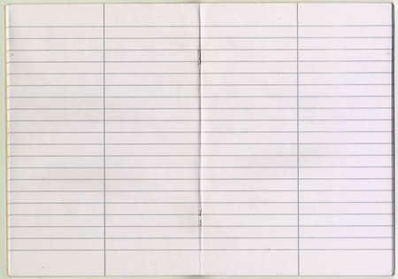 High resolution quality scan of school stapled notebook opening with line paper with vertical line...