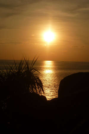 Exotic sunsetの写真素材