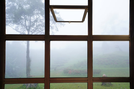 Open window to see trees in the fog in Thailand