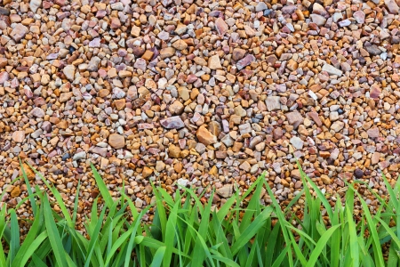 Stone texture and green grass の写真素材