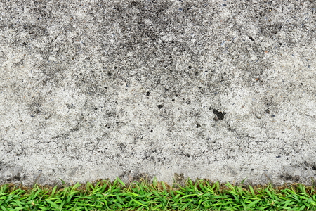 Concrete Texture Background and grass.の写真素材