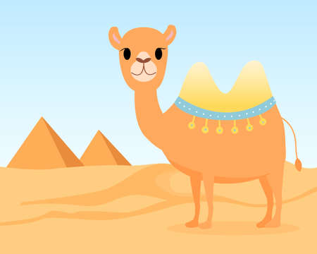 Cute camel in the desert. Pyramids on horizon. Vector.のイラスト素材