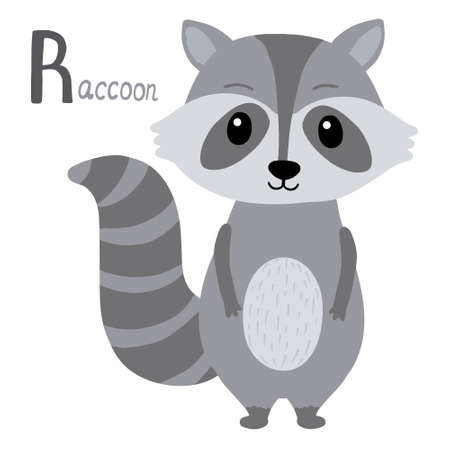 Raccoon in cartoon style. Animal alphabet. isolated on white background. Letter R learningのイラスト素材