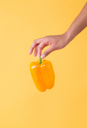 harvest, yellow pepper in hand, close up, isolated on yellow background. vegetableの写真素材
