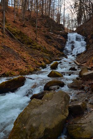 Waterfall green forest river stream landscapeの写真素材