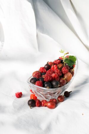 berries in a transparent plate on a white fabric background. A game of shadows. raspberry, currant, agrusの写真素材