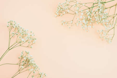 Layout Composition of white flowers in a rustic style, a place for your text. Flat lay, top view...