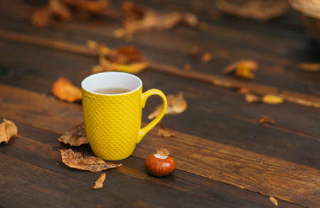 Yellow cup of tea and chestnut at wooden background with a lot of red and yellow fallen leaves. Relax scene. Selective focus and copy spaceの写真素材