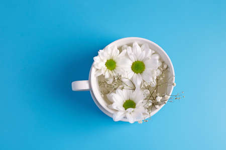 wildflowers chamomile in a white cup on a blue background. creative photography. top view.の写真素材