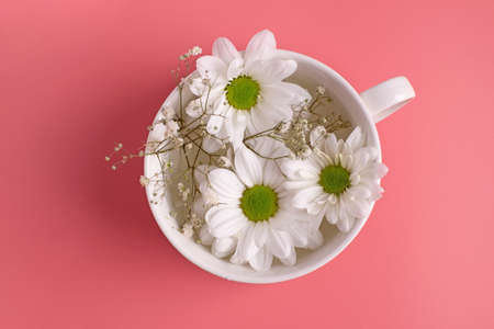 wildflowers chamomile in a white cup on a pink background. creative photography. view from above