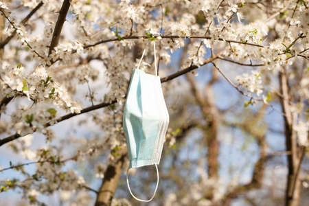 a used medical mask hangs and develops on a branch of a blossoming tree in springの写真素材