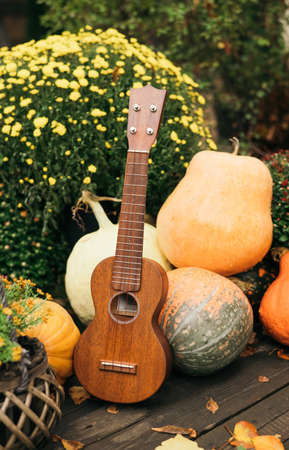 Ukulele guitar, autumn harvest and flowersの写真素材