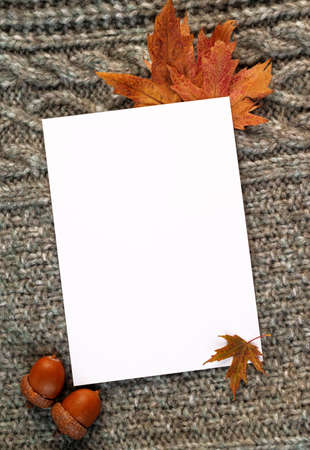 white blank card on the autumn background with fallen leaves and acorns on a knitted blanket. mockup