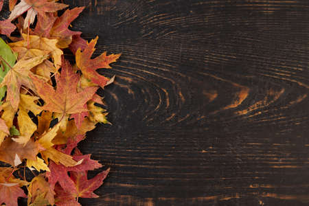orange autumn fallen leaves on a dark, textured vintage rustic wooden background. View from above. Frame for text.の写真素材
