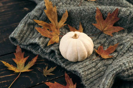 Autumn composition. Knitted grey plaid or scarf, fallen leaves and pumpkin on dark wood background....