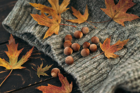 Autumn composition. Knitted grey plaid or scarf and fallen leaves on dark wood background.の写真素材