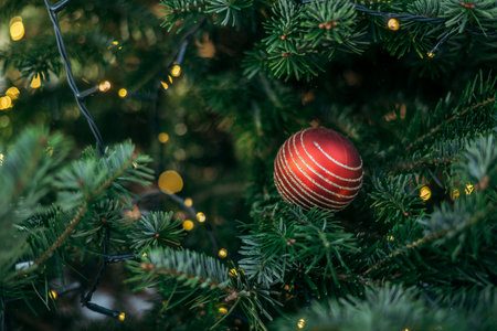 New Year's red balls and garlands are on the green branch outdoor.