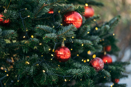 New Year's red balls and garlands are on the green branch outdoor.の写真素材