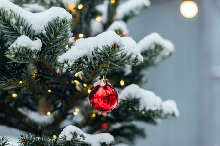 New Year's snow covered red ball and garlands are on the green branch outdoor . High quality photoの写真素材