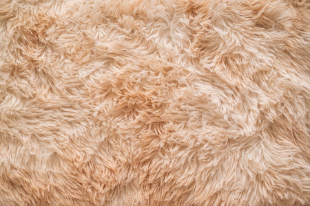 Background picture of a soft fur beige carpet. wool sheep fleece close up texture background. Fake color beige fur fabric. top view. High quality photoの写真素材