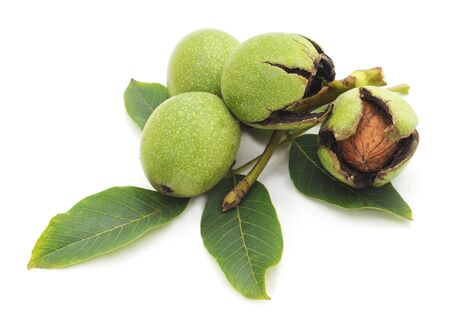 A group of green nuts isolated white background.の写真素材