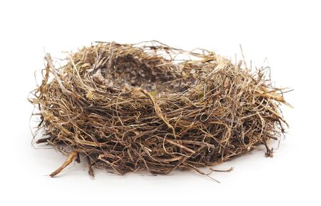 Abandoned bird nest isolated on white background.