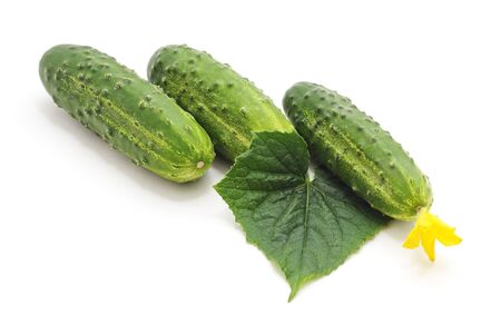 Green cucumbers with a flower isolated on a white background.の写真素材