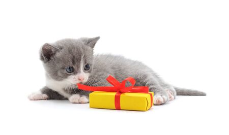 Gray kitten with a gift isolated on a white background.の写真素材
