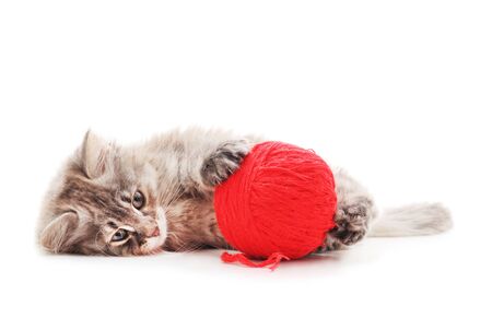 Red kitten with a ball isolated on a white background.の写真素材