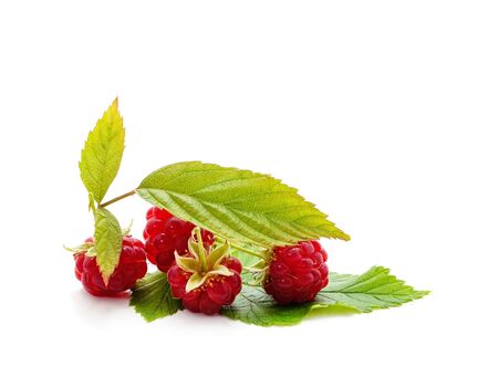 Ripe raspberries on a leaf isolated on a white background.