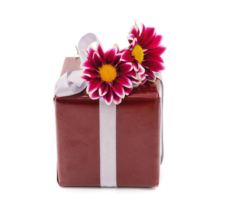 Beautiful purple chrysanthemums with a gift isolated on a white background.の写真素材
