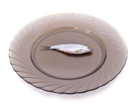 A small fish on a brown bowl isolated on a white background.
