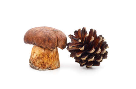 Beautiful two cones with a Christmas tree isolated on a white background.